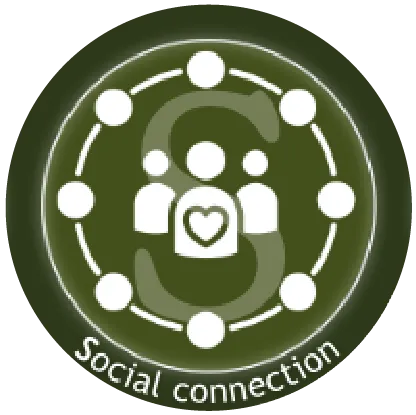 Social connection